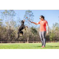 Fetch & fold mini