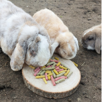 GROENTEN STICKS JR FARM