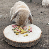 GROENTEN STICKS JR FARM