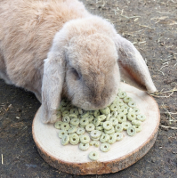 ERWTEN RINGEN JR FARM