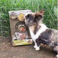 "BACK TO INSTINCT" FUN-PARK JR FARM