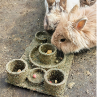 "BACK TO INSTINCT" FUN-PARK JR FARM