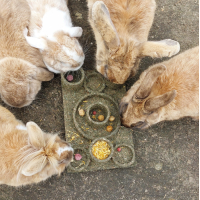 "BACK TO INSTINCT" FUN-PARK JR FARM