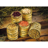 TIMOTHY HOOIROL GOUDSBLOEM EN KORENBLOEM