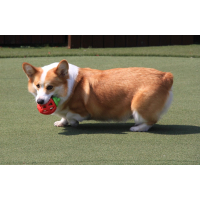 SNACKSPEELTJE AARDBEI