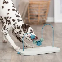 Skills Loop 
