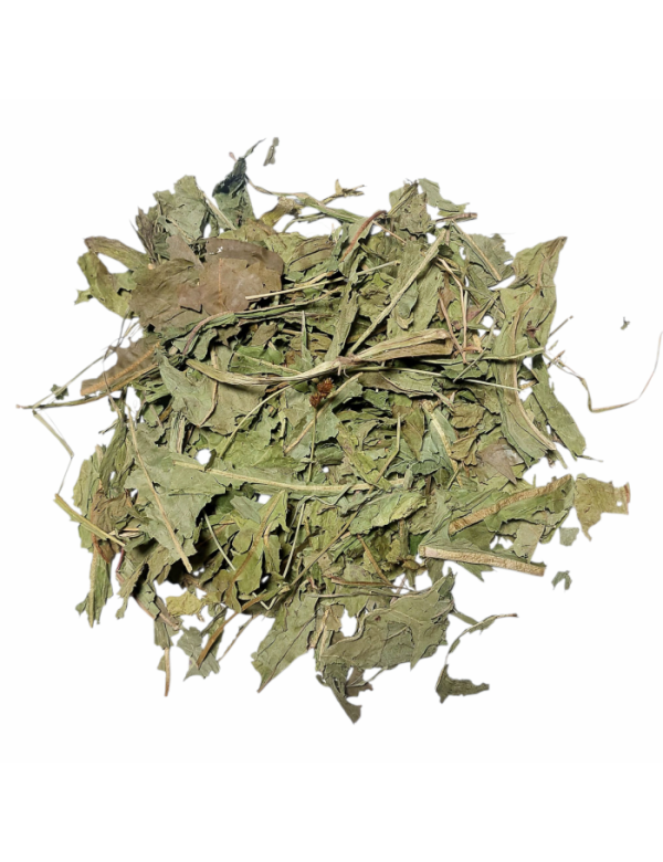 PAARDENBLOEM BLADEREN 1ste keuze