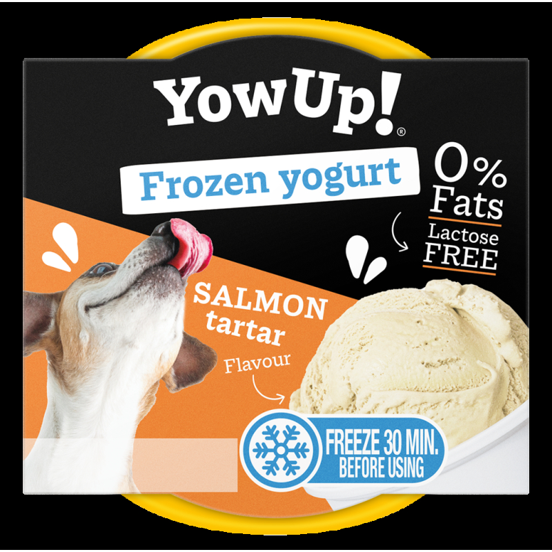 YowUp Ice cream yogurt zalm tartaar