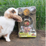 "BACK TO INSTINCT" FUN-PARK JR FARM