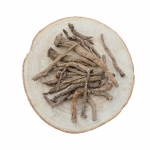 PAARDENBLOEM WORTELS