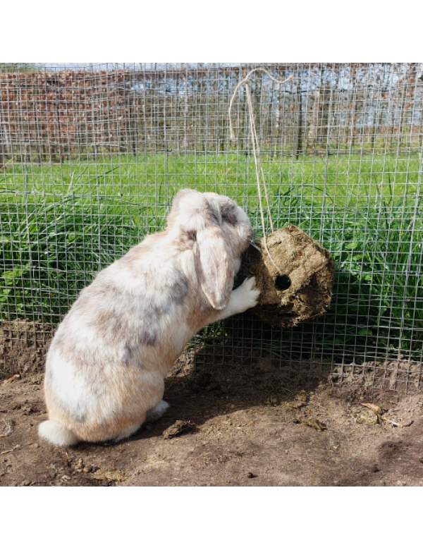 HOOIKUBUS JR FARM