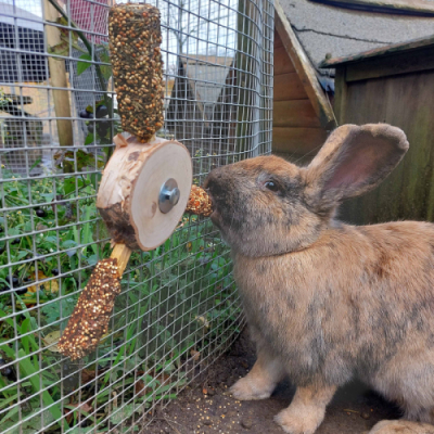 SNACK PROPELLER JR FARM