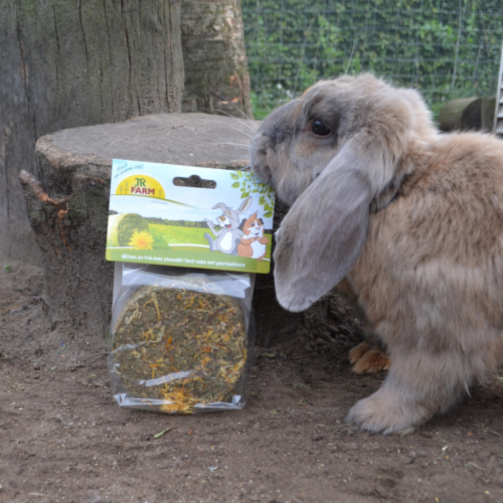 HOOI CAKE MET PAARDEBLOEM JR FARM