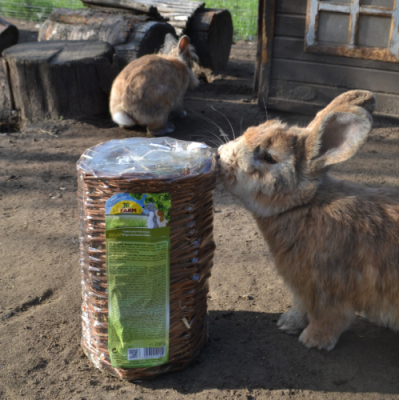 WILGEN HOOITUNNEL MEDIUM JR FARM