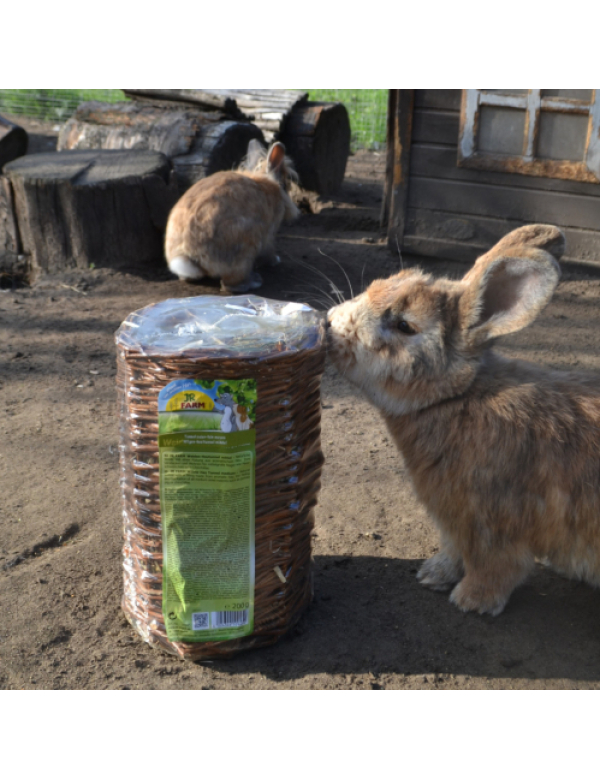 WILGEN HOOITUNNEL MEDIUM JR FARM