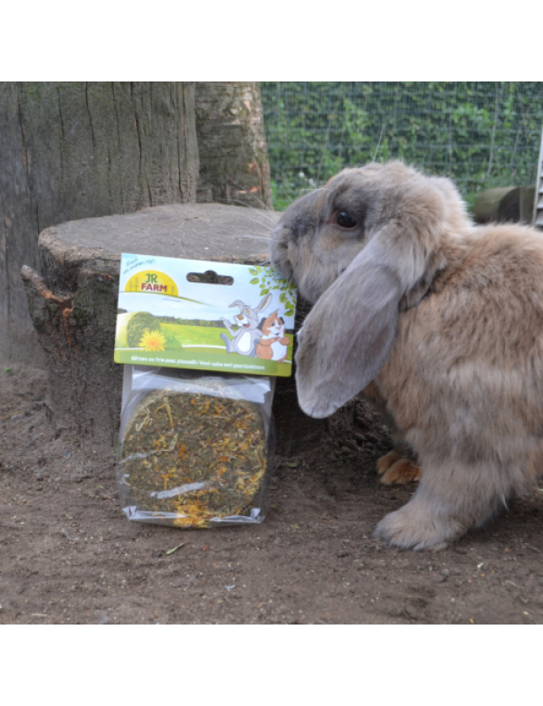 HOOI CAKE MET PAARDEBLOEM JR FARM