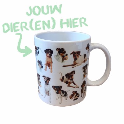 MOK - FOTO'S DIER(EN) MOK - FOTO'S DIER(EN)