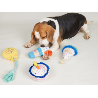 VERJAARDAGSHOED FOFOS 