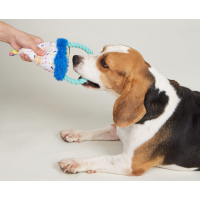 VERJAARDAGSHOED FOFOS 