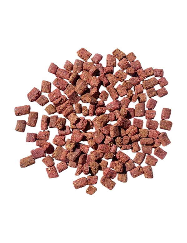 HONDENSNACK INSECTEN HONDENSNACK INSECTEN